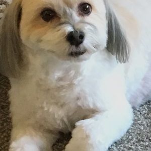 Meet your Posher, Greg